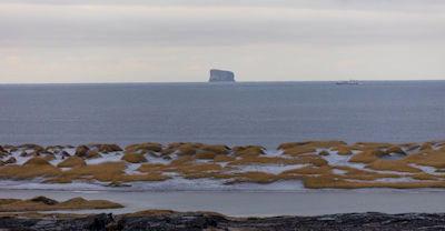 Eldey island where the last great auk was killed