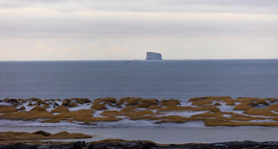 Eldey island where the last great auk was killed