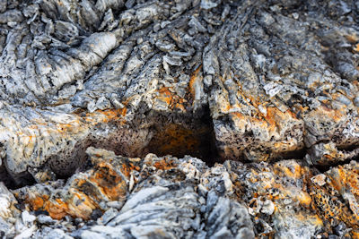 Close-up of fissure