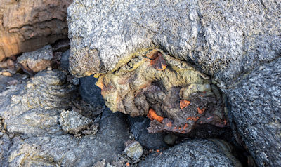 Close-up of lava