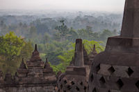 Stupas and the misty jungle