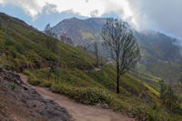 The path up Ijen crater