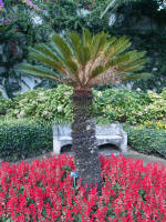 Gardens of Villa Rufulo, Ravello
