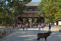 Nandai-mon Gate, Todai-ji Temple complex