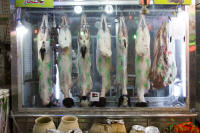 Mutton in a butcher’s shop, Aqaba market