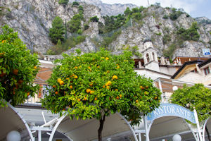 Limone lemons near the Hotel Ristorante le Palme