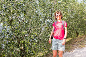 Magda and olive trees, after rain