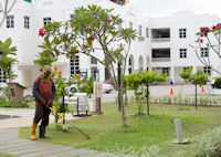 Grass cutting in the gardens of St Peter's Church