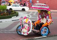 Multi-theme trishaw