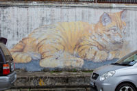 &ldquo;Skippy&rdquo; on Gat Lebuh Armenian