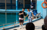 Audience member about to throw hoop to sea lion at Underwater World