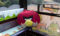 An Angry Bird in the return cable car