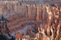 “Hoodoos” from Bryce Point