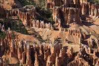 “Hoodoos” from Bryce Point