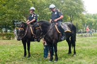 Police horses in Battery Park