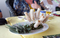 Mekong lunch: spring rolls
