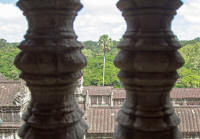 View of the jungle from the inner gallery
