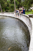 Polly, Fiona, Greta, Pauline, Christine and Dan feed the fish