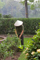 Gardener