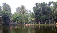Stilt house and “Uncle Ho’s fishpond”