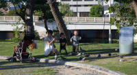 Feeding pigeons in the park near the Aioi-bashi Bridge