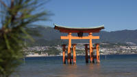 O-torii “floating” gate at medium tide