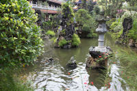 The fish pool