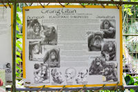 Information about orang utans